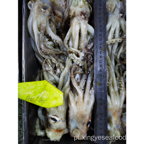 Frozen Squid Tentacle Nototodarus Sloanii 140-160g